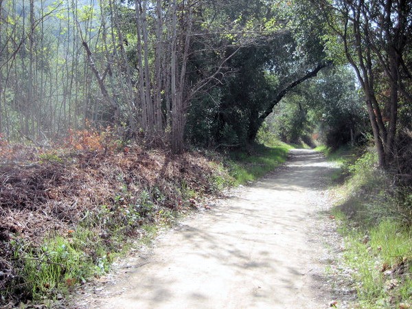 A Walk In The Park