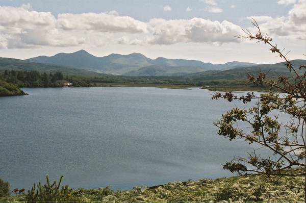 Lough Carragh 3