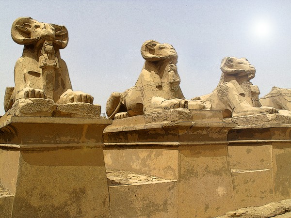 Avenue of the Sphinx 3911