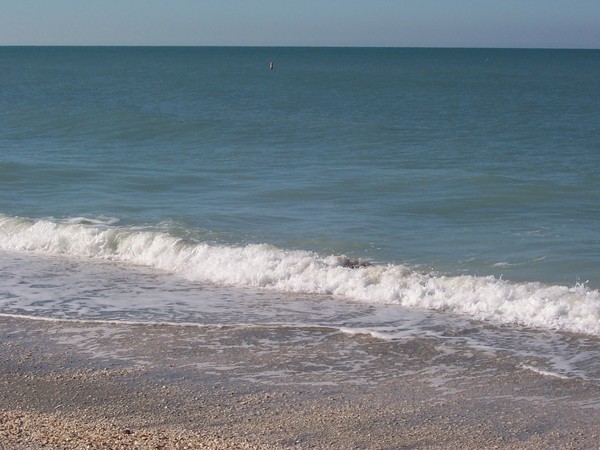 Beach 2007