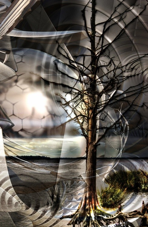 Mystification