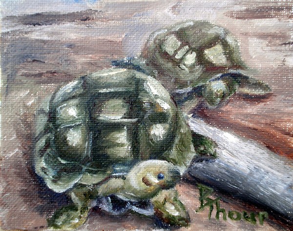 Turtle Friends