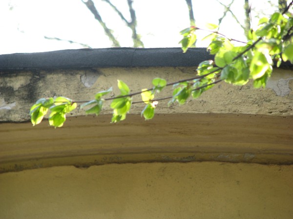 2008-city nature
