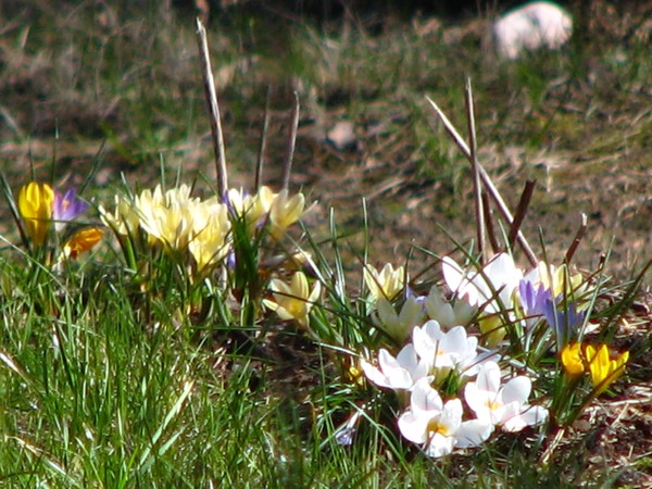 Spring in Finland