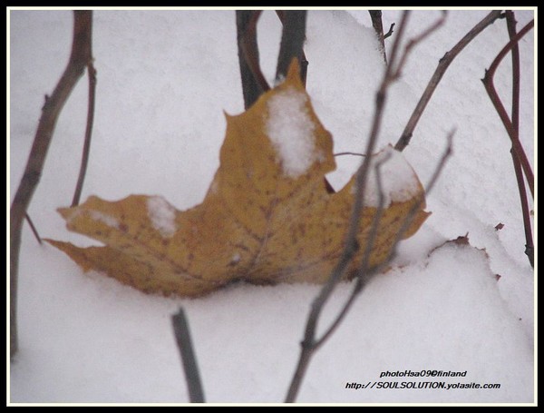 more of the first snow..