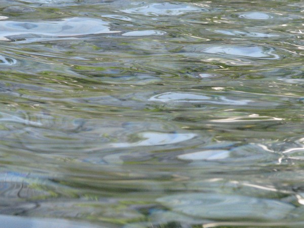 water surface..reflection series