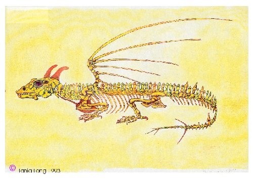 skeleton of a dragonarts
