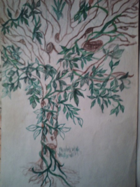 My childhood tree