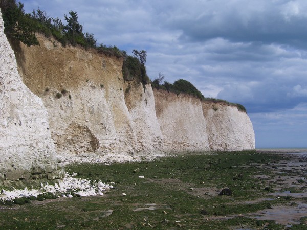 Pegwell Cliffs