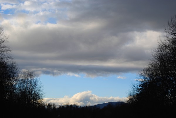 Nature's Contrast