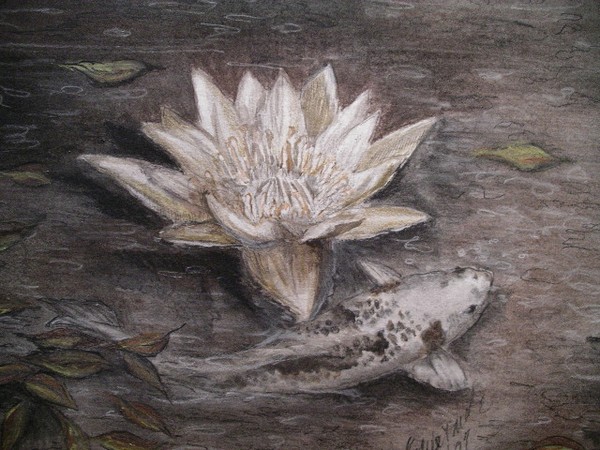 koi swimming on a rainy day