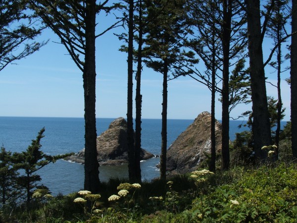 heceta head ocean scene