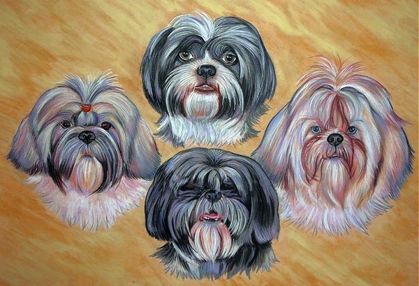 Tinkerbell, Poppy, Lucy and Elly
