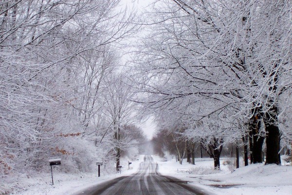 Snowy Roads Take Me Home