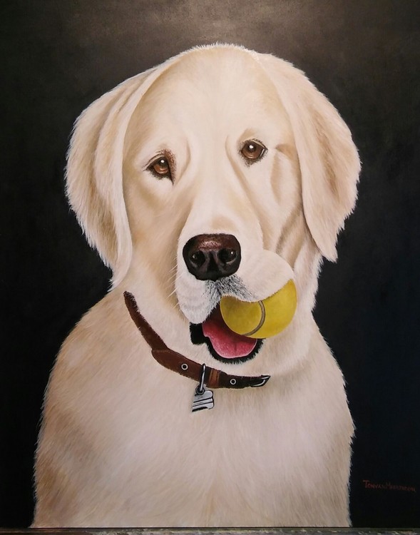 Blondi