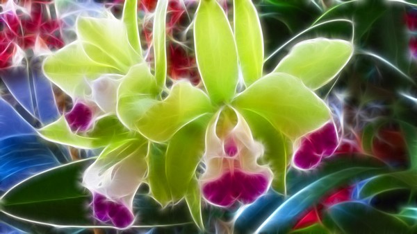 Fractalius floral