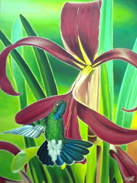 Humming Bird on Flower