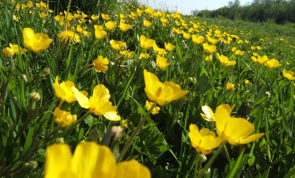 And it was all yellow