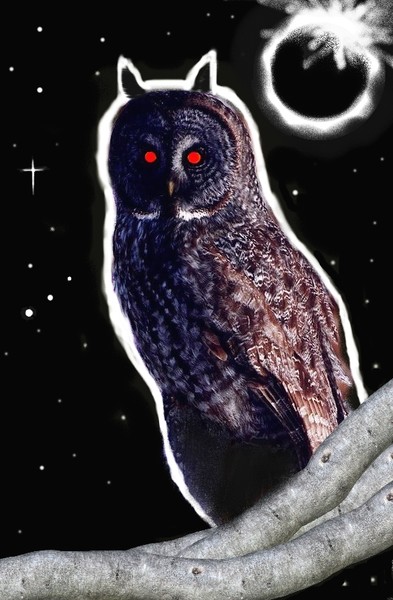 OwlMan