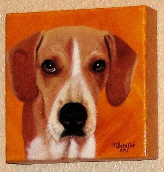 Red Tick Hound