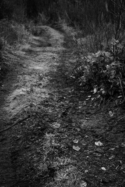 Beaten Path