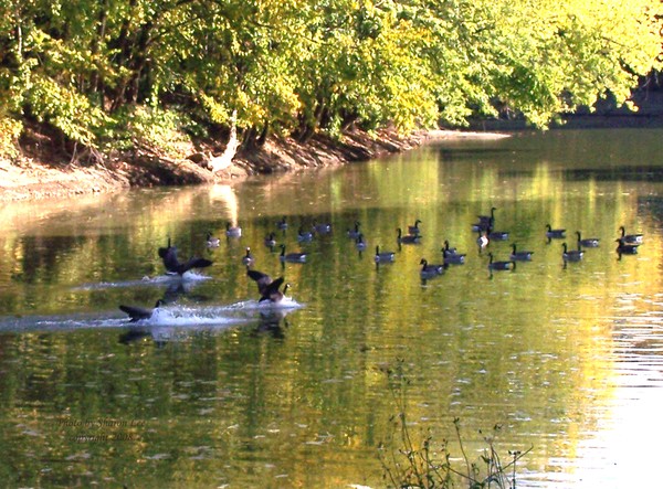 Landing on the River