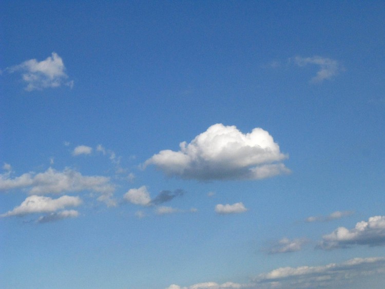 Wide Open