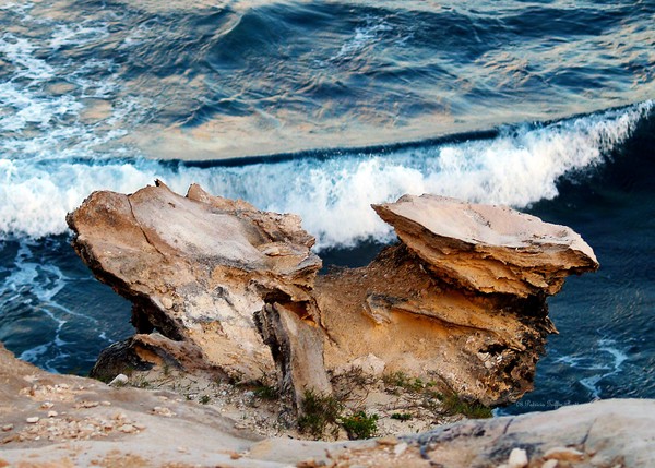 Nature's Sculptures I