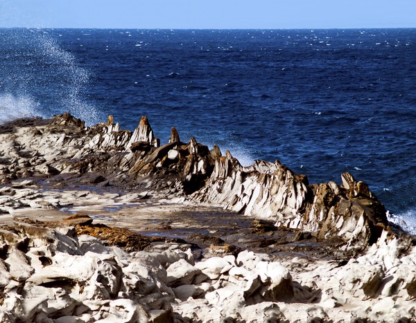 The Dragon's Teeth II