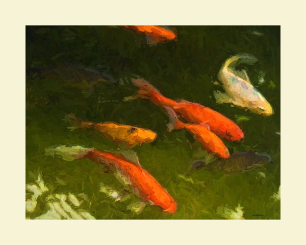 Garden Pond