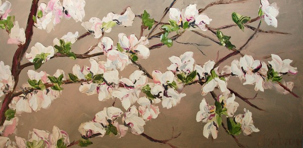 Apple Blossoms