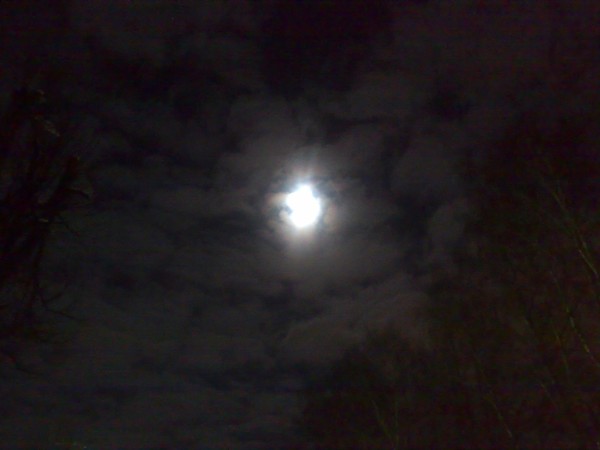 Wild Winter Moon