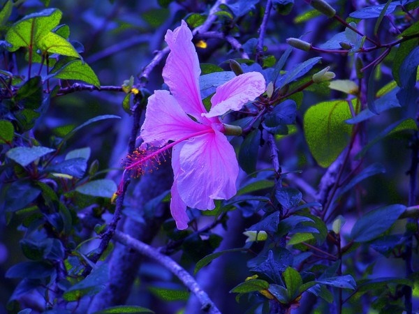 Standing Out