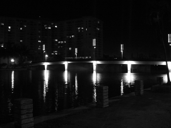 The bridge