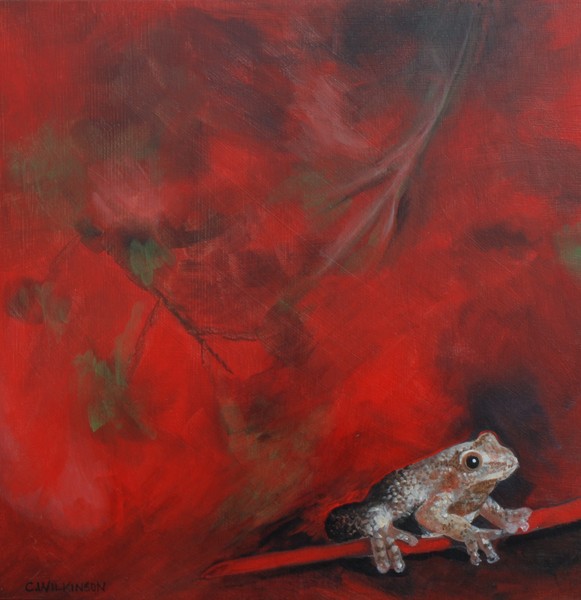 Spring Peeper on Red Leaf