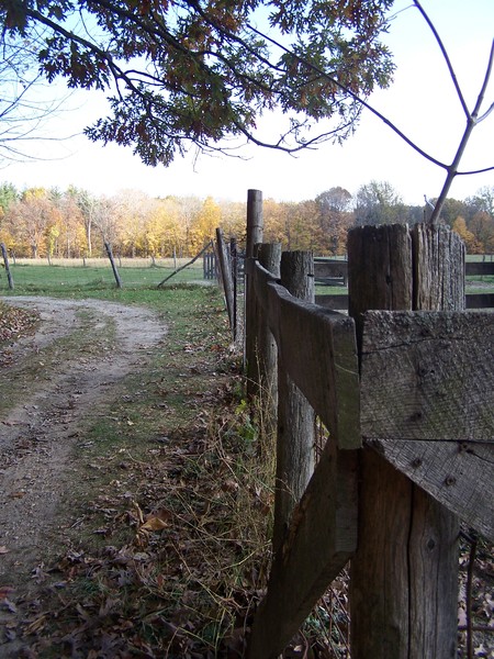 A Fence Between Two Things