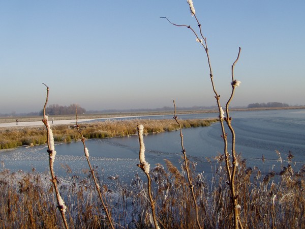 anneke_048