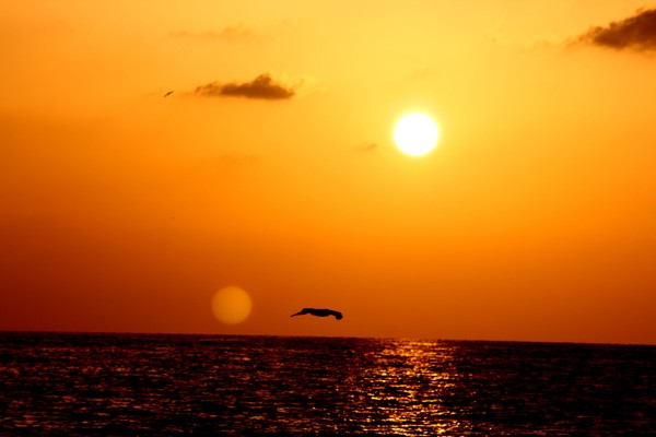 clearwater beach sunset