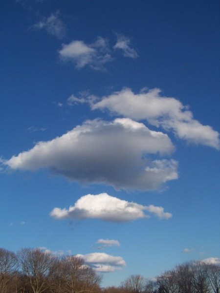 heart in the sky
