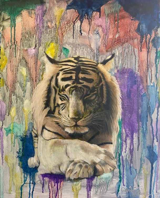 Dreaming in Color