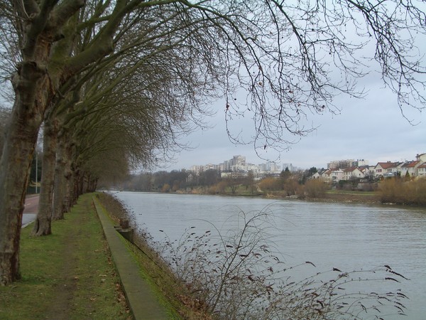 Morning Walk