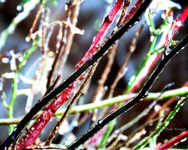 Frozen
