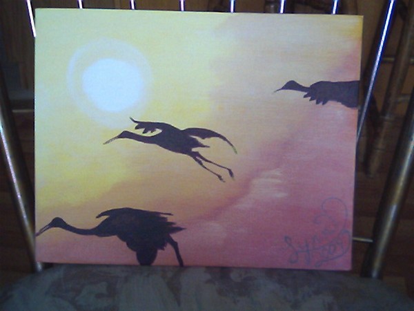 sunset flight