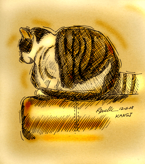 Cat on the Couch