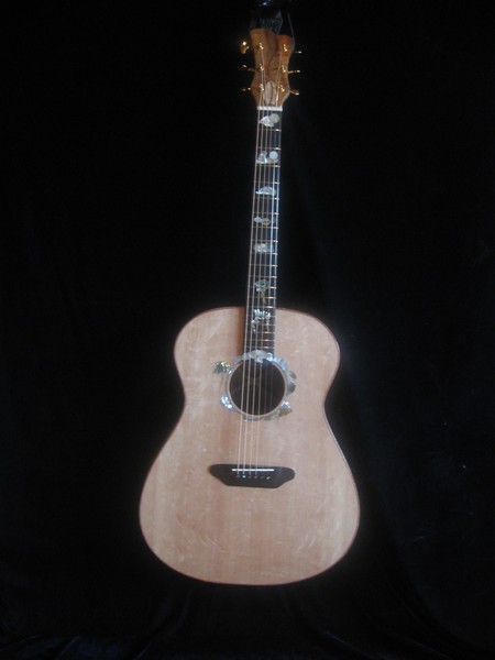 The rest of the storm guitar