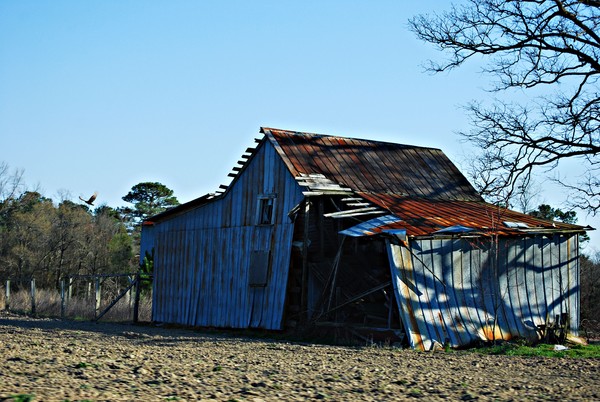 Barn