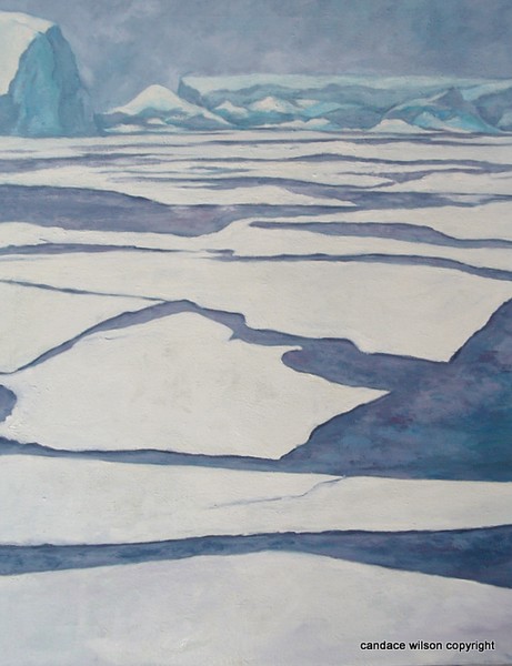On The Lookout for Emperors,Weddell Sea
