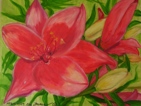 Red Lily