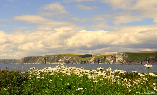 Bigbury