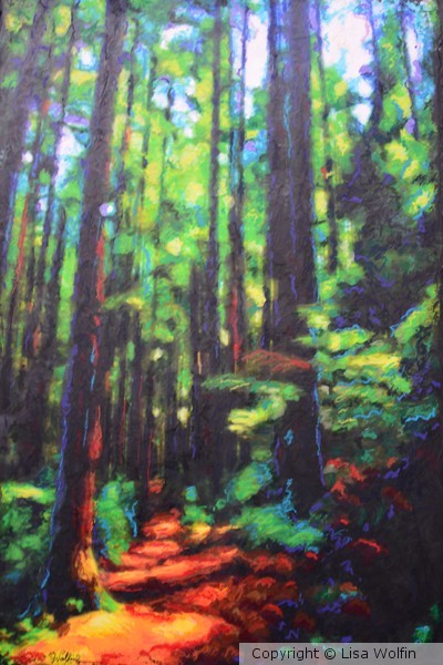 Forests Forever